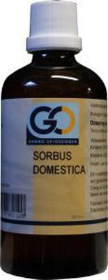GO Sorbus domestica bio 100 Milliliter