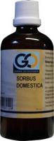 GO Sorbus domestica bio 100 Milliliter - thumbnail