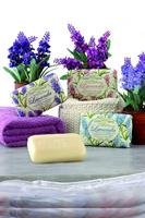 Nesti Dante lavanda officinale zeep 150gr. - thumbnail