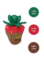 Yeowww! Strawberry Chocolate - thumbnail