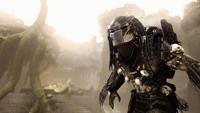 Aliens vs. Predator - thumbnail