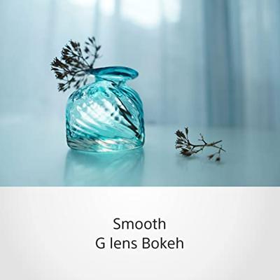 Sony E 15mm f/1.4 G APS-C Wide Angle Prime