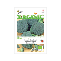 Zaden Organic Broccoli Calabrese natalino (BIO) Buzzy - Buzzy - thumbnail