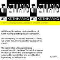 AM Clean Sound Keith Haring Vinyl Brush - thumbnail