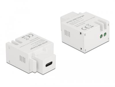 Delock 87792 USB-inbouwmodule Keystone 1 stuk(s)