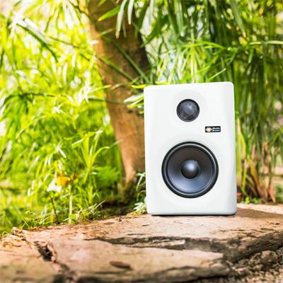 Monkey Banana Gibbon 5 Wit