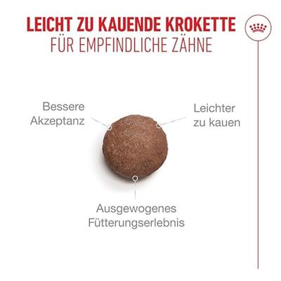 Royal Canin FHN Ageing 11+ kattenvoer 400 gram - thumbnail
