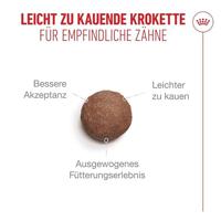 Royal Canin FHN Ageing 11+ kattenvoer 400 gram - thumbnail
