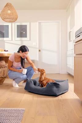 Intex Hondenmand Antraciet Maat XS/S 1 stuk(s)