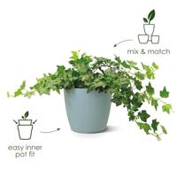 Bloempot Brussels rond 18 cm antraciet elho - Elho - thumbnail