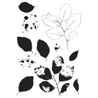 Sizzix • clear stamps set a5 with framelits die painted pencil leaves - thumbnail