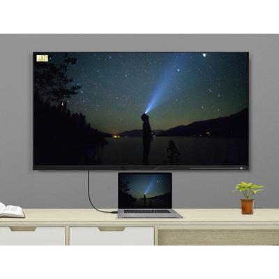 Renkforce SP-9163792 DisplayPort-kabel DisplayPort Aansluitkabel DisplayPort-stekker, DisplayPort-stekker 2.00 m Zwart Vergulde steekcontacten