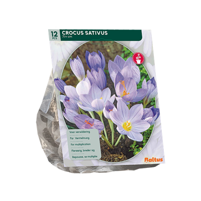 Herfstbloeiende krokus