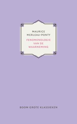 Fenomenologie van de waarneming (Hardback)