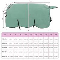 VidaXL Paardendeken speciale groen polyester - thumbnail