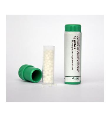Homeoden Heel Arnica montana D30 1 Gram Homeoden Heel Arnica montana D30 1 Gram