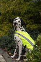 TRIXIE VEILIGHEIDSVEST REFLECTEREND GEEL 50 CM - thumbnail