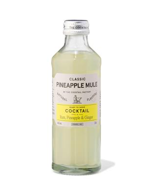 HEMA The Cocktail Factory Pineapple Ginger 200ml