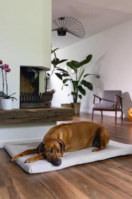 Benchkussen ito 121x78cm l.grijs Beeztees - Designed by lotte