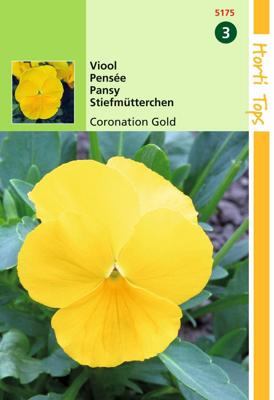 Zaden Viola Viool Coronation Gold Hortitops - Hortitops
