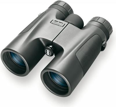 Bushnell Powerview 10x42