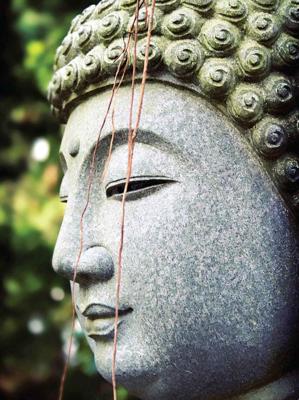 Boeddha sliert 50x70cm Tuinschilderij Customize-it - Customize it Boeddha sliert 50x70cm Tuinschilderij Customize-it - Customize it