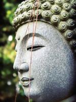 Boeddha sliert 50x70cm Tuinschilderij Customize-it - Customize it - thumbnail