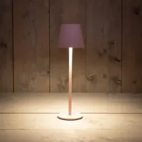 Draadloze tafellamp warm wit dimbaar LED inclusief USB kabel 36.5x11.5cm mat roze Anna's Collection - Annas collection - thumbnail