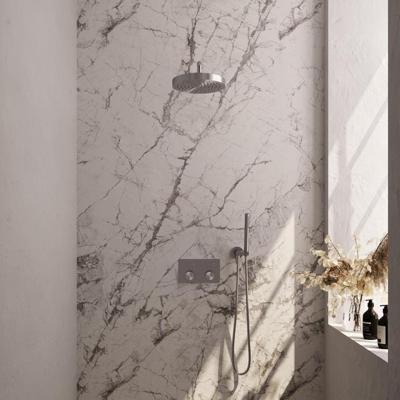 Brauer Stripe thermostatische inbouw regendouche met drukknoppen SET 26 met 25 cm douchekop en gebogen muurarm en staaf handdouche en doucheslang en wandaansluitbocht RVS-kleurig geborsteld PVD