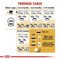 Royal Canin Persian voer voor kitten 2kg - thumbnail