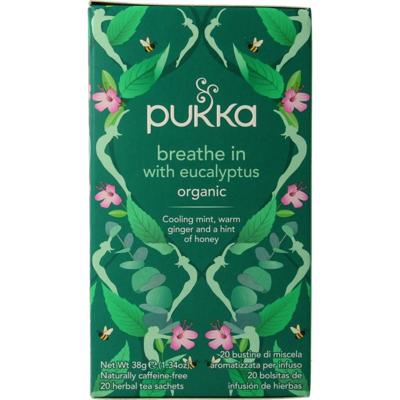 Pukka Breathe In Organic Thee