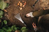 Fiskars Xact Handhark - 1027044 - 1027044 - thumbnail