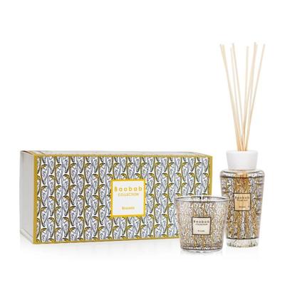 Baobab My First Baobab Mexico Giftbox