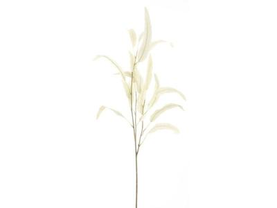 Kunsttak eucalyptus cream, 74 cm Hortus - Hortus Kunsttak eucalyptus cream, 74 cm Hortus - Hortus