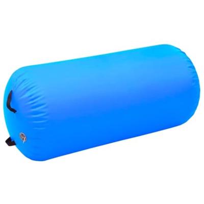VidaXL Gymnastiekrol met pomp opblaasbaar 120x75 cm pvc blauw