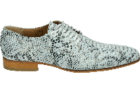 Paulo Bellini 1708 - alle - thumbnail