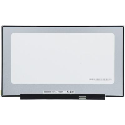 17.3 inch LCD Scherm 1600x900 Mat, 30Pin