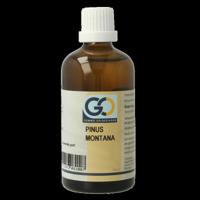 GO Pinus montana 100 Milliliter - thumbnail