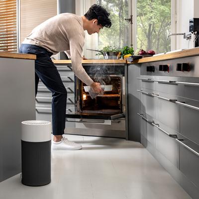 Blueair Blue Pure 411 - Luchtreiniger - Deeltjes- en koolstoffilter - 15m2 - Bla