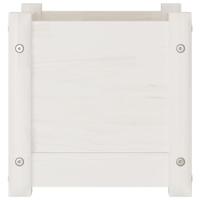 VidaXL Plantenbak 31x31x31 cm massief grenenhout wit - thumbnail