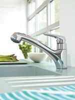 GROHE Eurodisc Keukenkraan - laag - draaibare/uittrekbare uitloop - chroom 32257001 - thumbnail