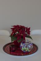 Konstsmide 1407-203 Micro-lichtketting Binnen werkt op batterijen Aantal lampen 10 LED Koudwit - thumbnail