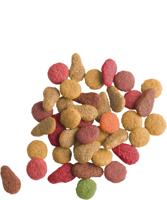 Lara adult zalm kattenvoer 2 KG - thumbnail