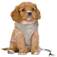 TRIXIE HONDENTUIG JUNIOR PUPPY SOFTTUIG MET RIEM LICHTGRIJS 36-50X1 CM / 2 MTR - thumbnail