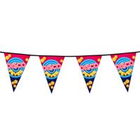 Vlaggenlijn Disco Party Plastic - 6 Meter - thumbnail