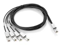 HP AN975A Externe Mini-SAS naar 4x1 Mini-SAS kabel 2m - thumbnail