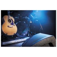 DAP M12 Actieve vloermonitor 12 inch - thumbnail
