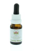 Australian Bush Freshwater mangrove 15 Milliliter - thumbnail