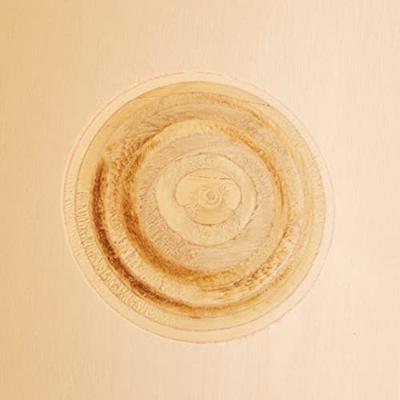 Trixie Nestkastje voor vogels., 30 x 20 x 20 cm
