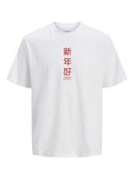 Heren-T-Shirt met Korte Mouwen Jack & Jones Jorsnake - Maat: L - thumbnail